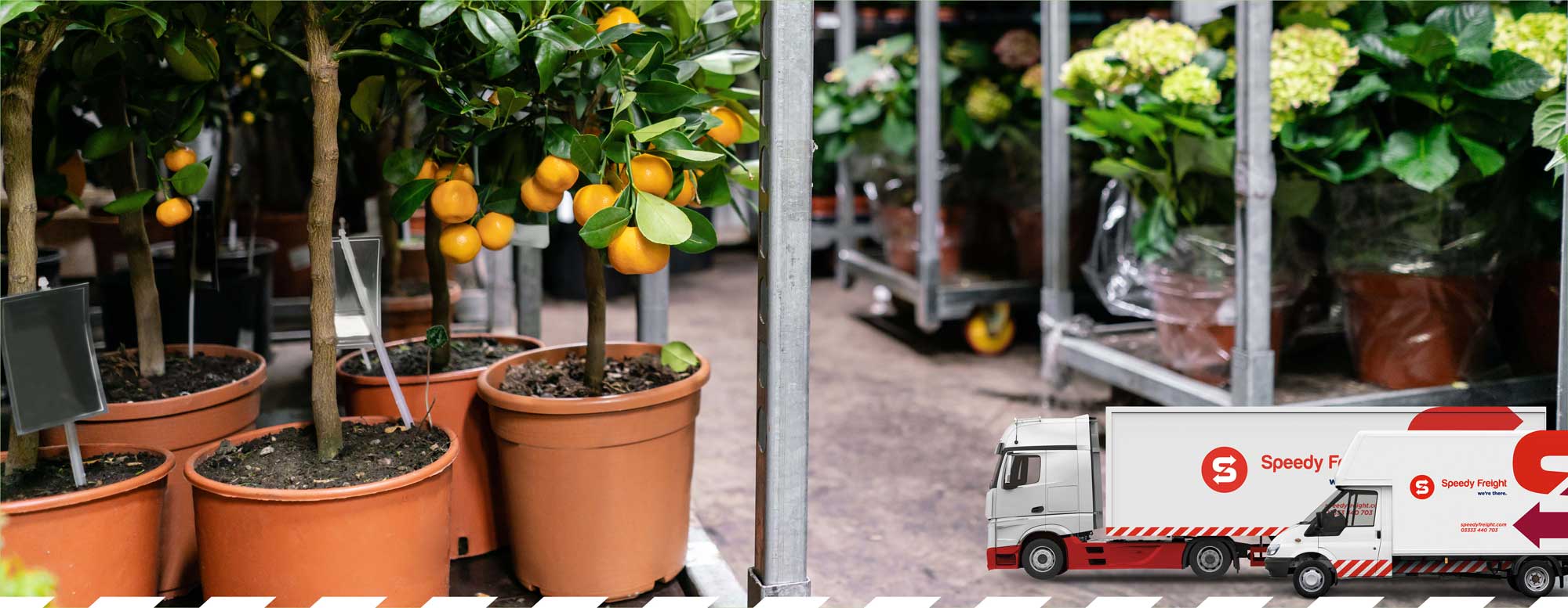 Moving Trees and Plants: A Horticulture Courier Case Study